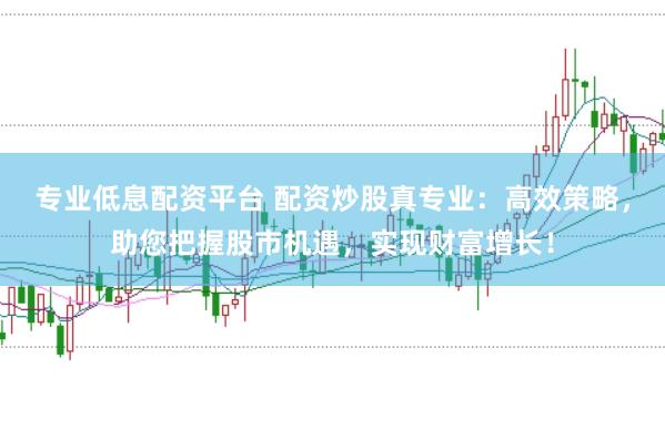 专业低息配资平台 配资炒股真专业：高效策略，助您把握股市机遇，实现财富增长！