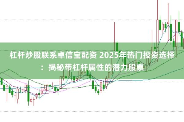 杠杆炒股联系卓信宝配资 2025年热门投资选择：揭秘带杠杆属性的潜力股票