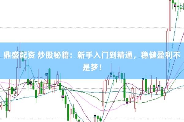 鼎盛配资 炒股秘籍：新手入门到精通，稳健盈利不是梦！