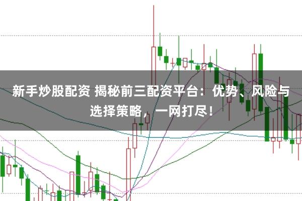 新手炒股配资 揭秘前三配资平台：优势、风险与选择策略，一网打尽！