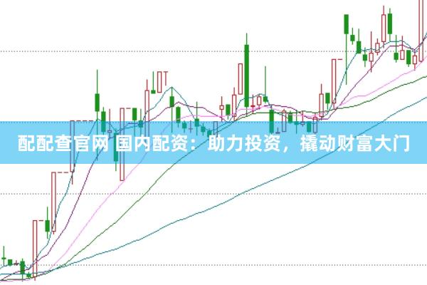配配查官网 国内配资：助力投资，撬动财富大门