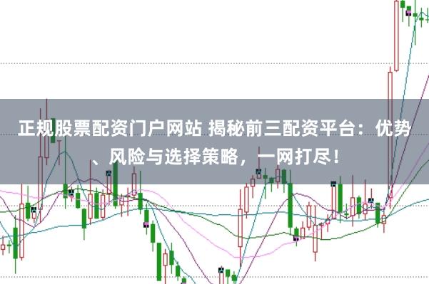 正规股票配资门户网站 揭秘前三配资平台：优势、风险与选择策略，一网打尽！