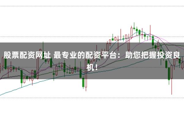 股票配资网址 最专业的配资平台：助您把握投资良机！