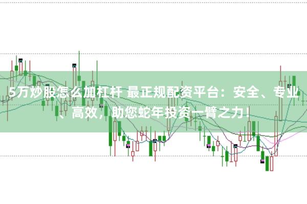 5万炒股怎么加杠杆 最正规配资平台：安全、专业、高效，助您蛇年投资一臂之力！