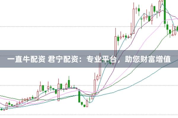 一直牛配资 君宁配资：专业平台，助您财富增值