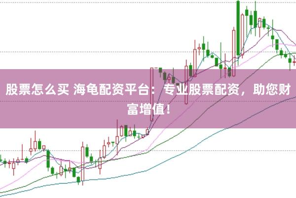 股票怎么买 海龟配资平台：专业股票配资，助您财富增值！