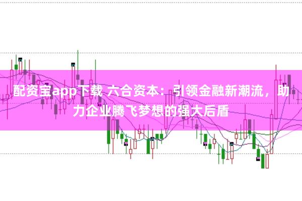 配资宝app下载 六合资本：引领金融新潮流，助力企业腾飞梦想的强大后盾