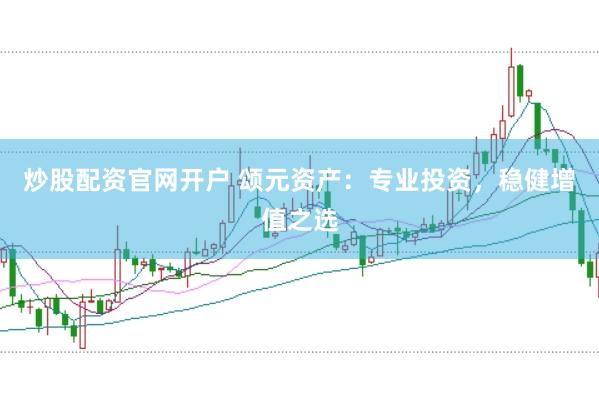 炒股配资官网开户 颂元资产：专业投资，稳健增值之选