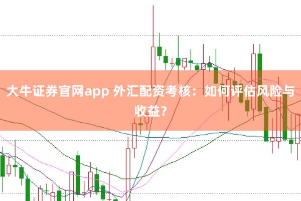 大牛证券官网app 外汇配资考核：如何评估风险与收益？