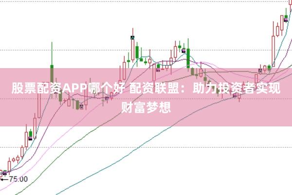 股票配资APP哪个好 配资联盟:助力投资者实现财富梦想