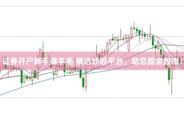 证券开户新手薅羊毛 精选炒股平台，助您掘金股市！