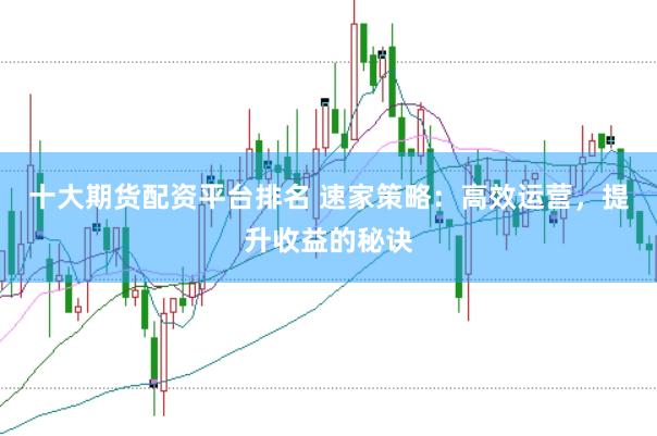 十大期货配资平台排名 速家策略:高效运营,提升收益的秘诀