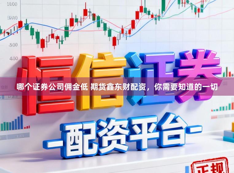 哪个证券公司佣金低 期货鑫东财配资，你需要知道的一切
